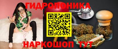 a pvp Славгород