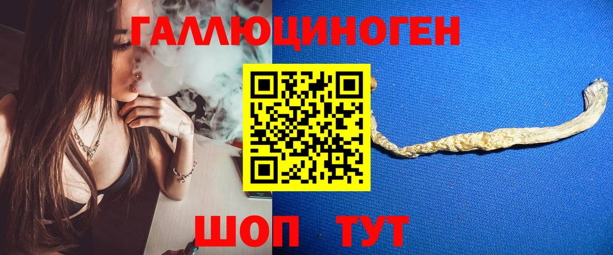 Галлюциногенные грибы GOLDEN TEACHER Отрадный