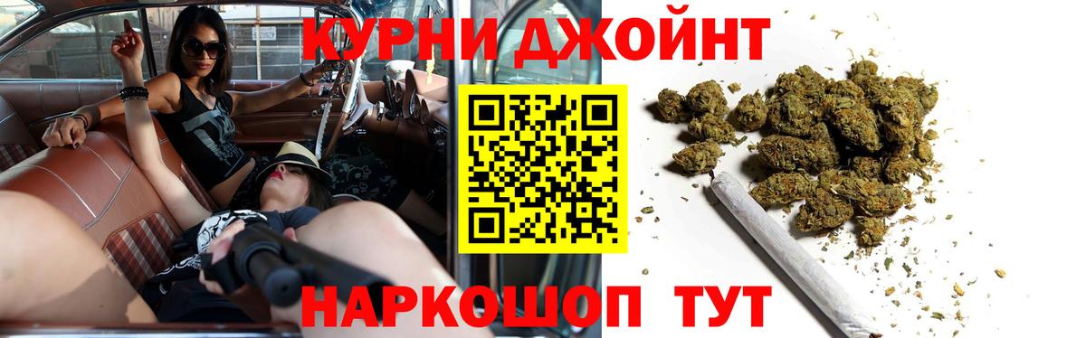 Конопля OG Kush Отрадный
